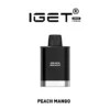 IGET Edge Pods